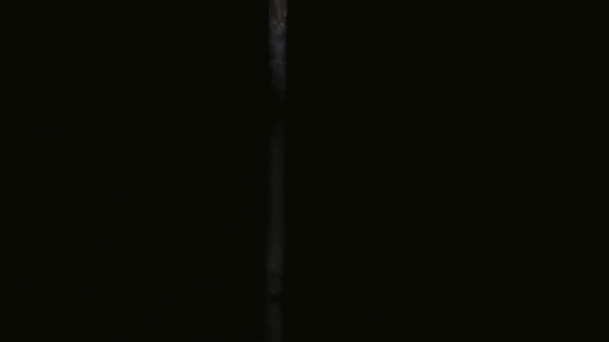 640 (13).gif